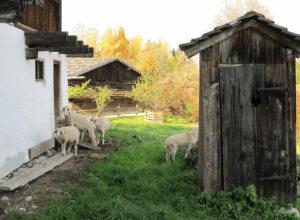 Screen Shot 2013-06-14 at 8.33.58 AM