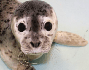 Screen Shot 2015-03-22 at 5.21.58 PM